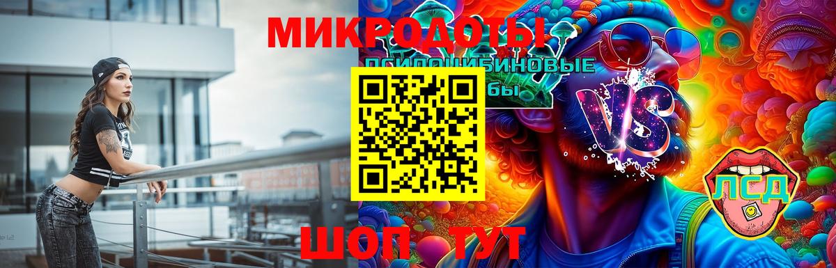 Псилоцибиновые грибы Cubensis Дубна